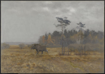 Un élan traversant un marais en Suède - Bruno Liljefors