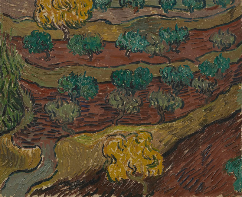 Bir tepe üzerindeki zeytin ağaçları - Vincent van Gogh