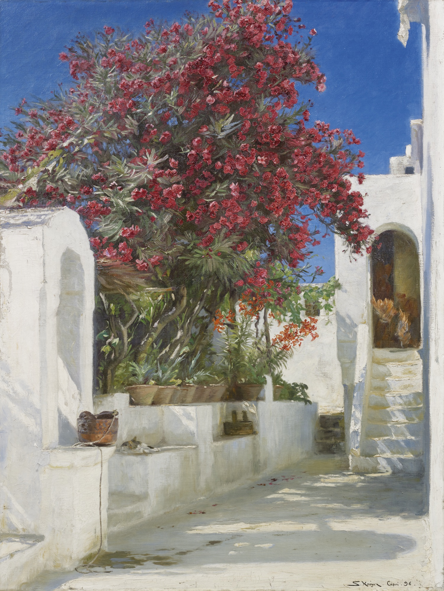 Çiçek Açan Gül Defneleri, Capri - Peder Severin Krøyer