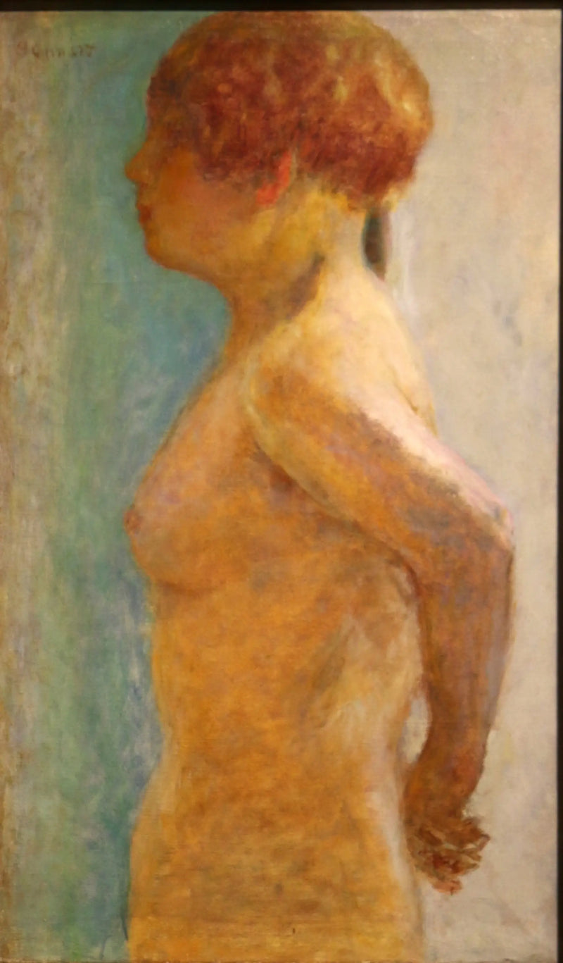 Kadın Torso, profilden - Pierre Bonnard