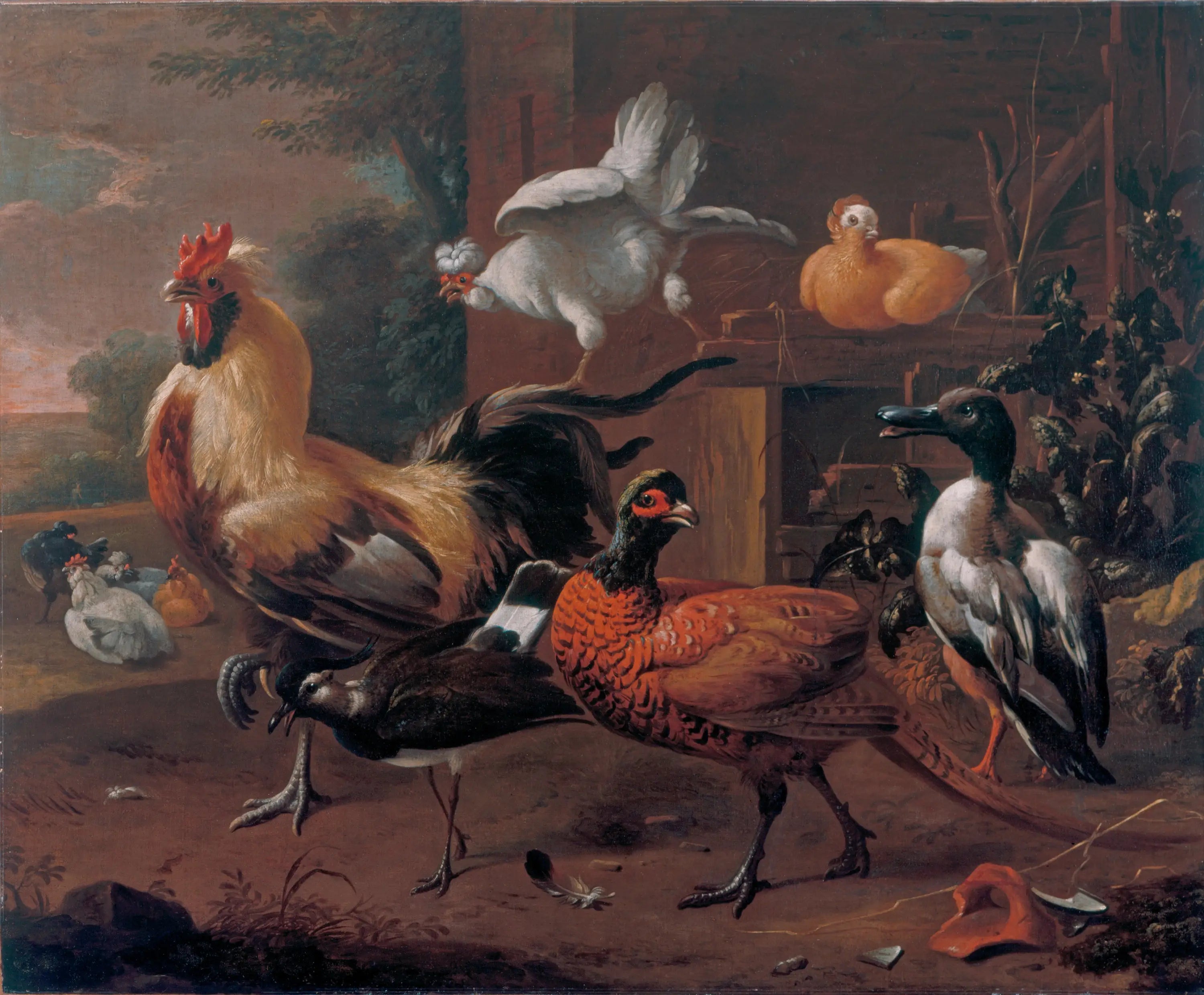 basse-cour - Melchior de Hondecoeter - Alpha Reproduction