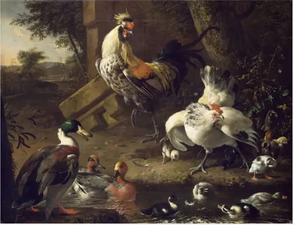 Volaille - Melchior de Hondecoeter - Alpha Reproduction