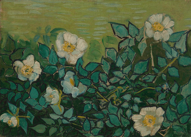 Yaban Gülleri - Vincent van Gogh
