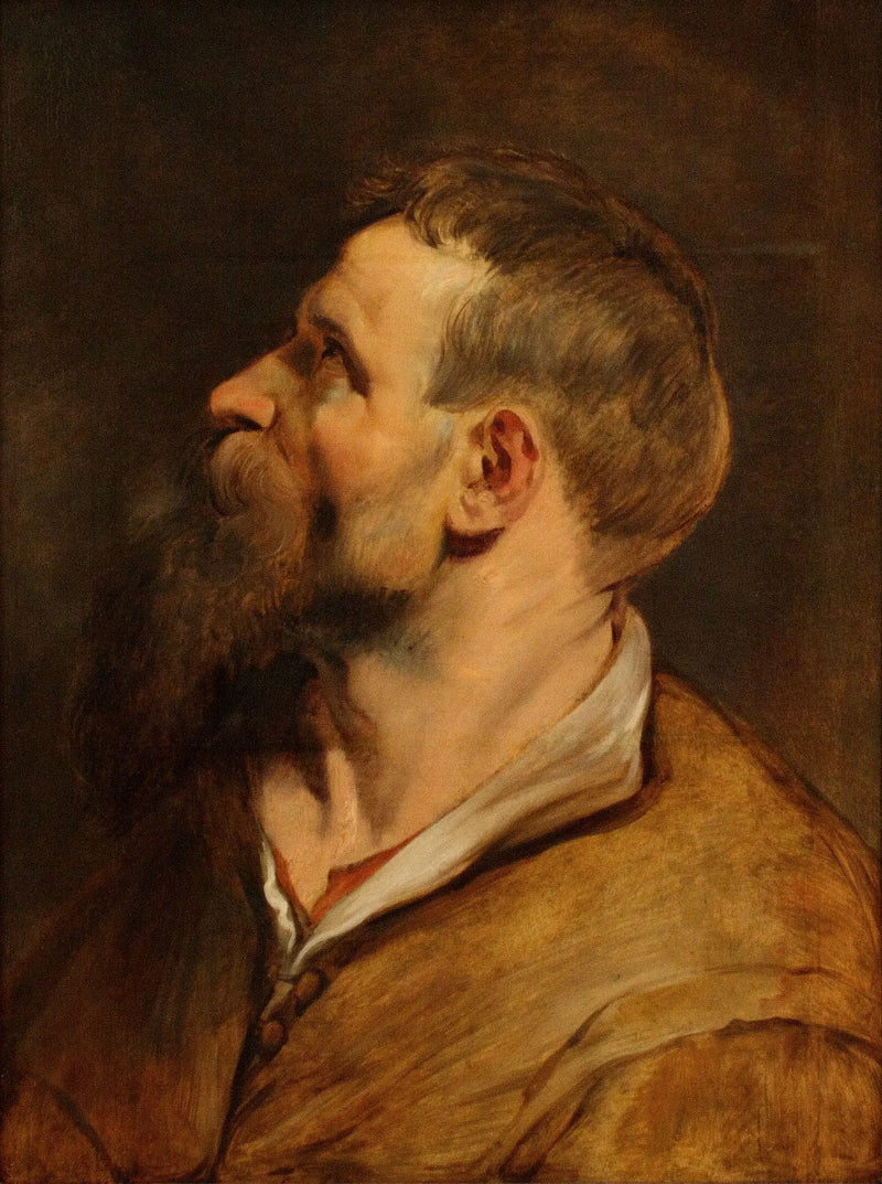 Sola bakan sakallı bir adamın başı - Peter Paul Rubens