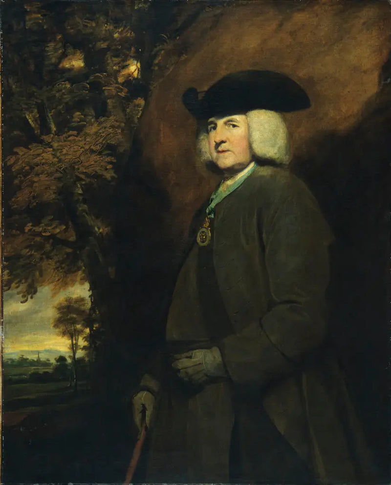 Richard Robinson Portresi - Joshua Reynolds