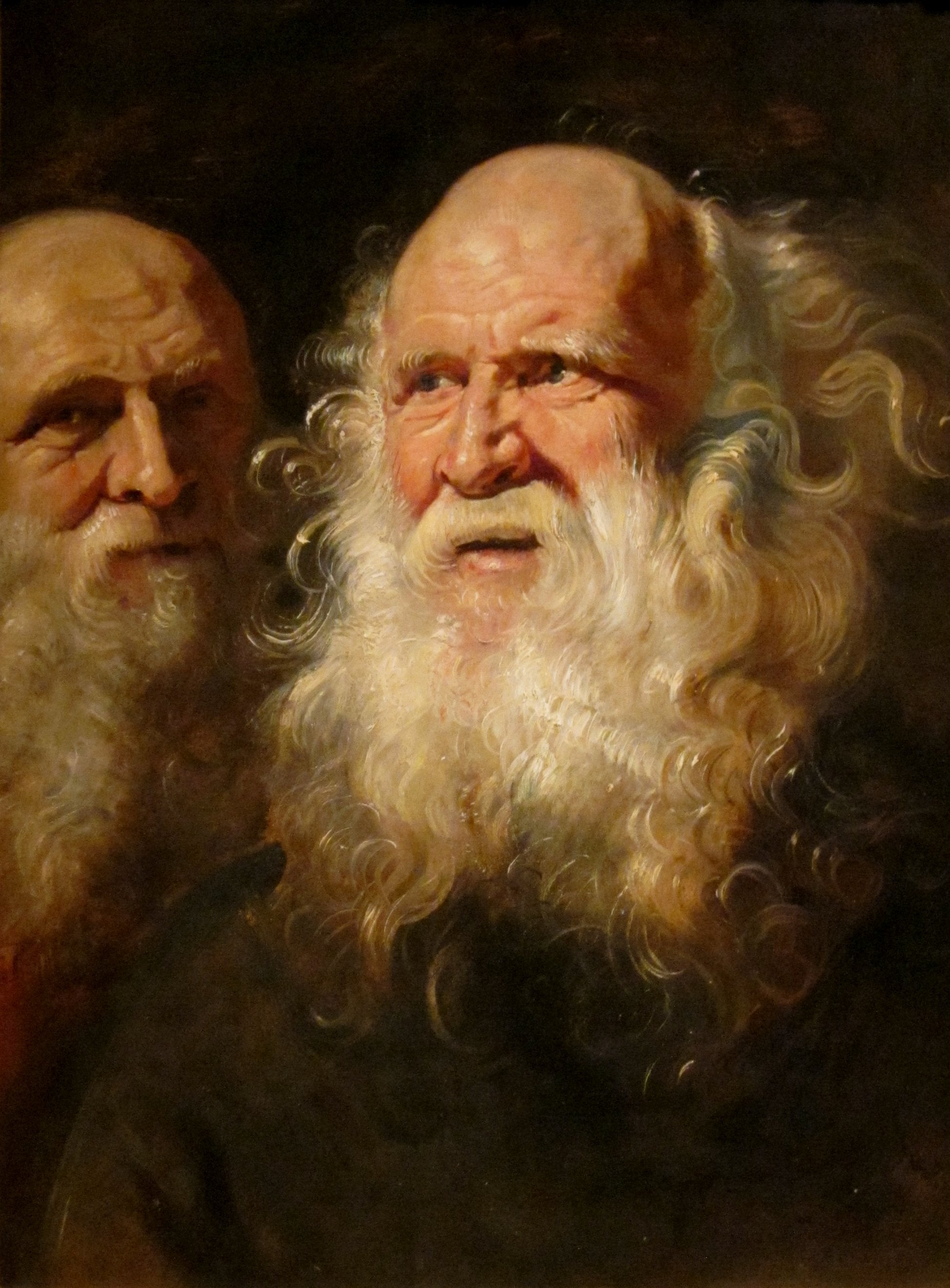 İki sakallı yaşlı adamın çalışması - Peter Paul Rubens