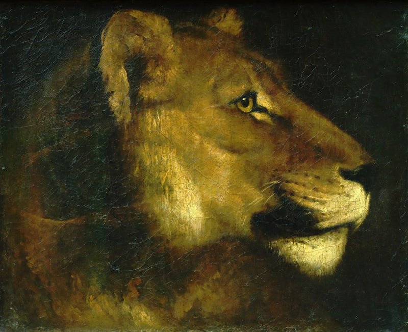 Dişi aslan başı - Théodore Géricault