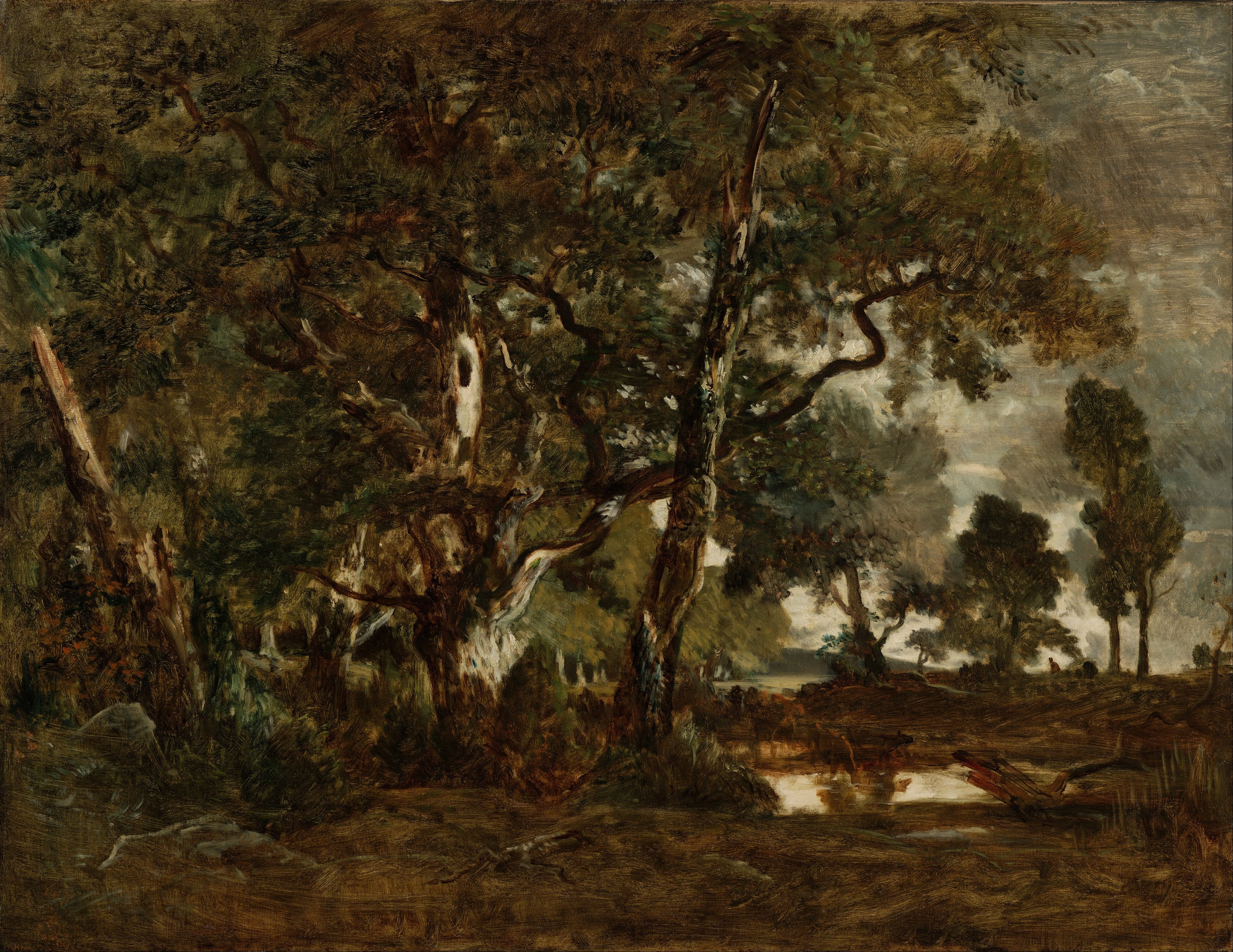 Forêt de Fontainebleau, bosquet de grands arbres dominant la plaine de Clair-Bois à la limite du Bas-Bréau - Théodore Rousseau