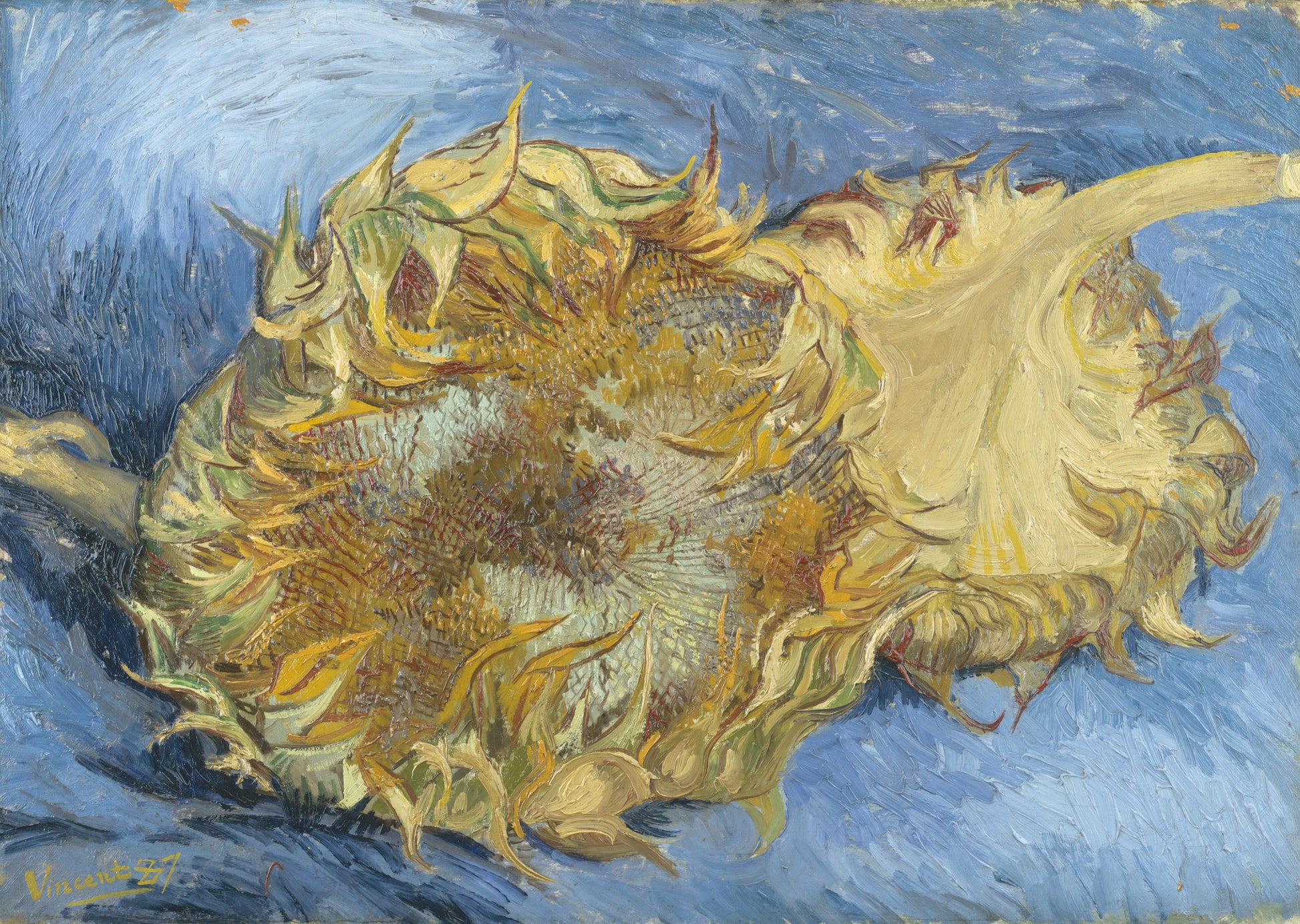 Reproduction du tableau « Deux Tournesols - Vincent van Gogh » par Alpha Reproduction en peinture à l’huile