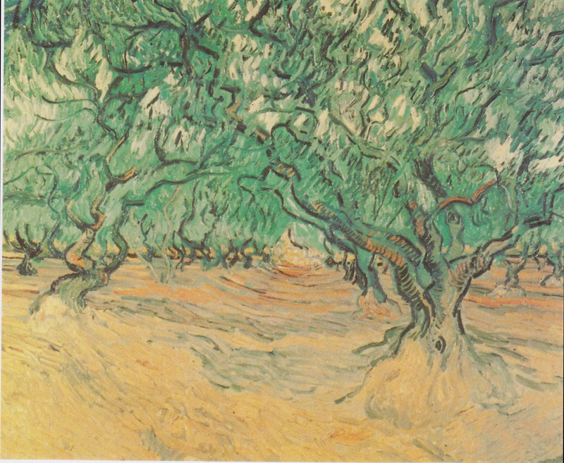 Zeytin Ağaçları - Vincent van Gogh