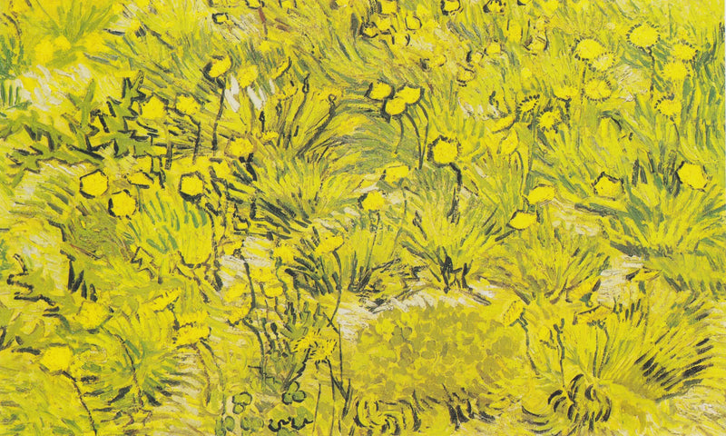 Sarı Çiçekler Prerisi - Vincent van Gogh