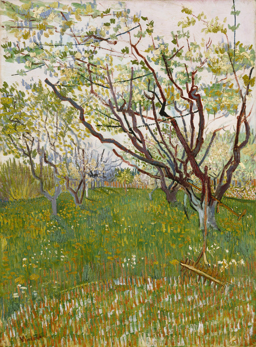 Le Verger en fleurs – Vincent van Gogh