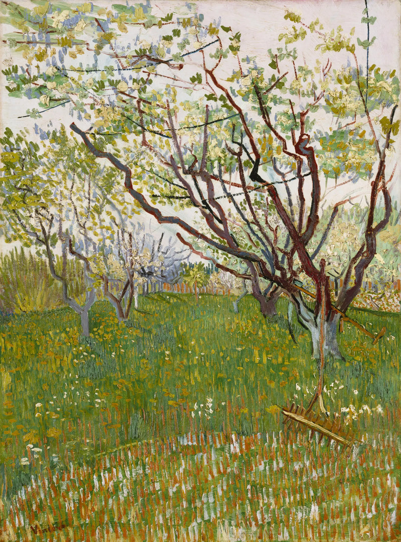Çiçek Açan Meyve Bahçesi - Vincent van Gogh