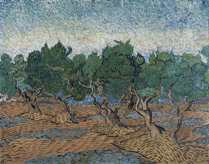 Zeytinlik - Vincent van Gogh