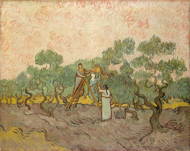 Zeytin toplayan kadınlar - Vincent van Gogh