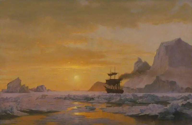 arktik bölgeler - William Bradford