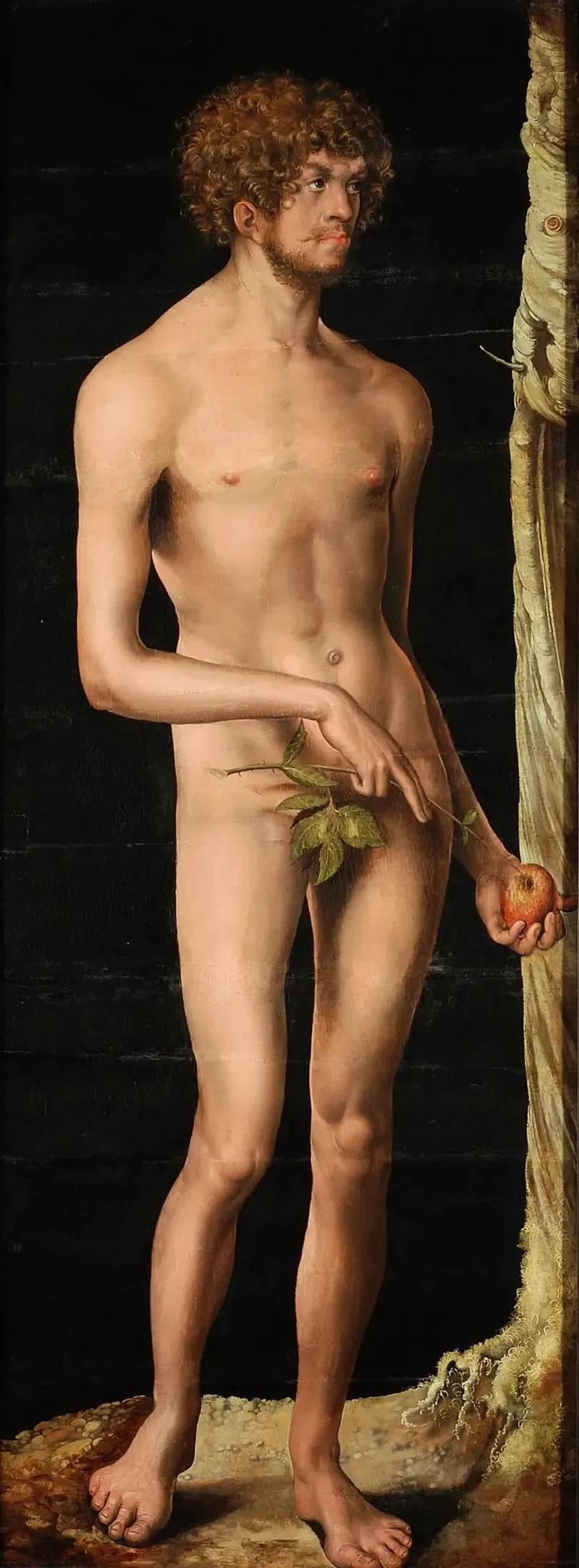Adam - Lucas Cranach the Elder