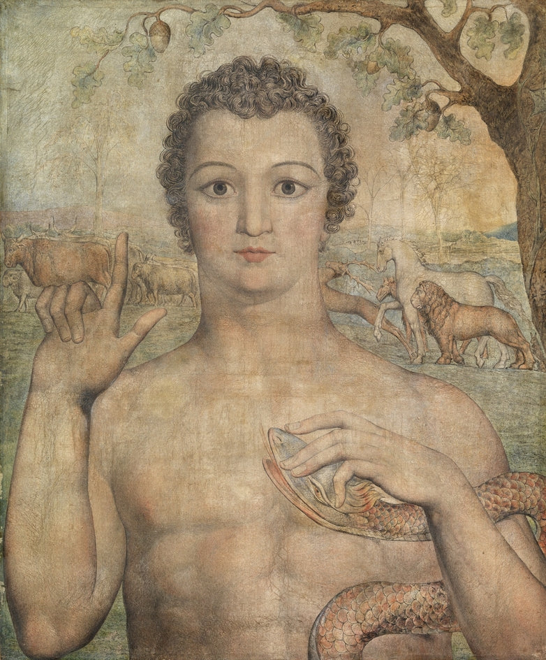 Adam Nomu Hayvanları - William Blake