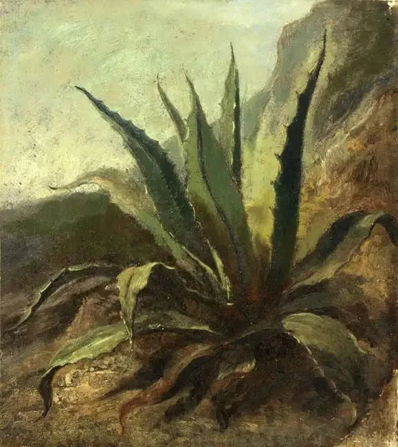Fas'ta Agave - Eugène Delacroix
