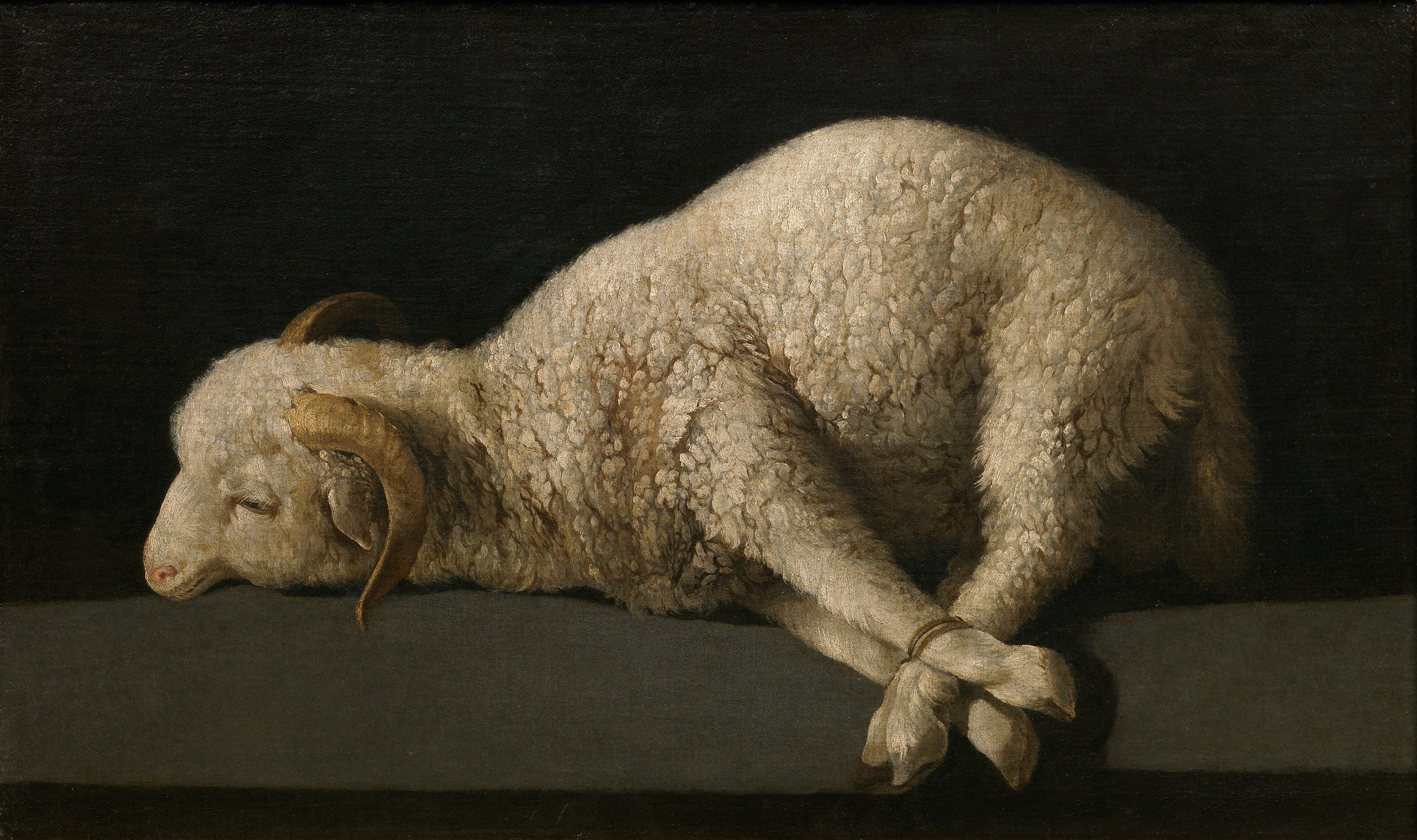 Agnus Dei - Francisco de Zurbarán