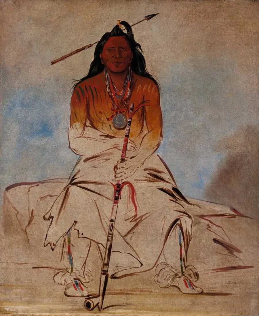 Ah-sháw-wah-róuks-te, Şifacı Atı, Büyük Brave Pawnee - George Catlin