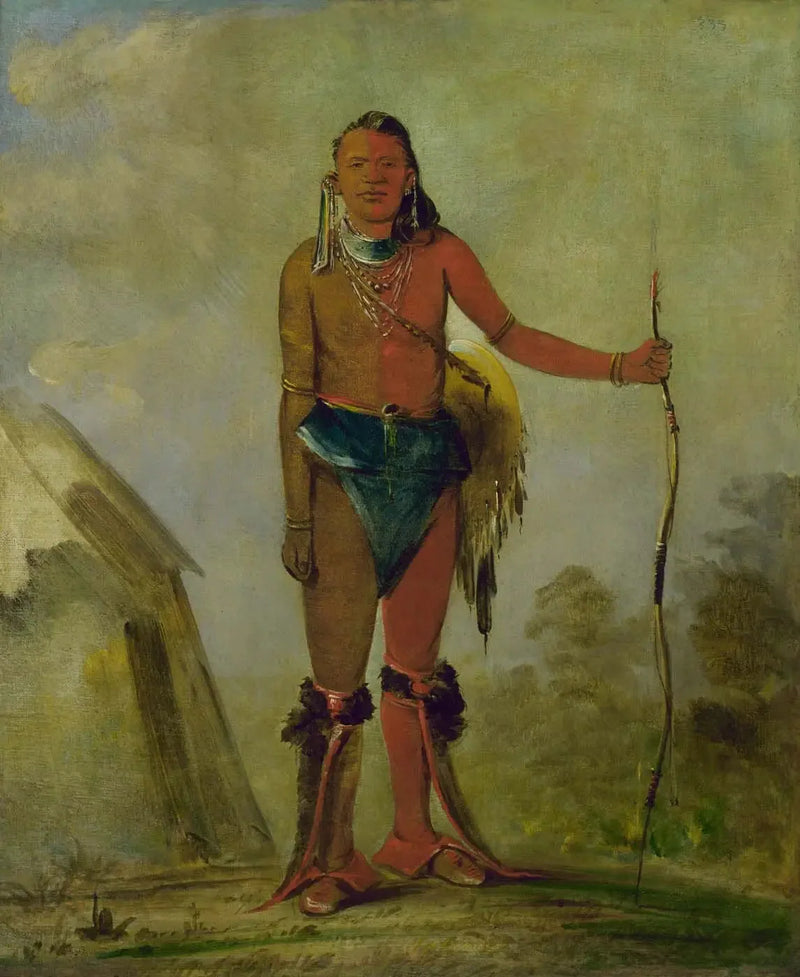 Aih-no-wa, Le Feu, iyileştirici bir tilki - George Catlin