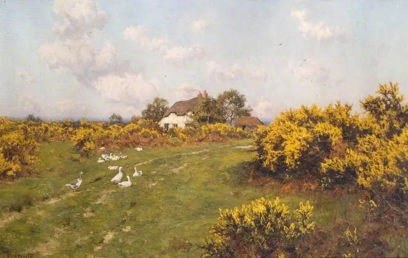 Bucklebury Common'daki bir ortak arazi üzerinde Ajoncs - Edward Wilkins Waite