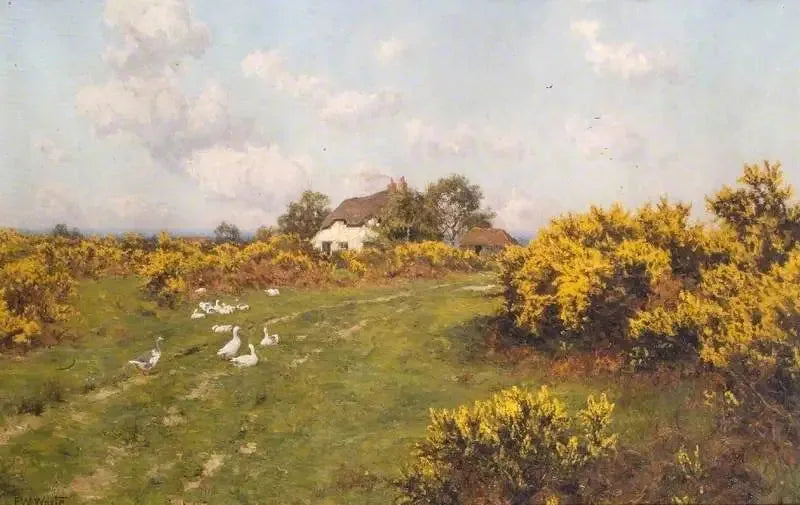 Bucklebury Common'daki bir ortak arazi üzerinde Ajoncs - Edward Wilkins Waite
