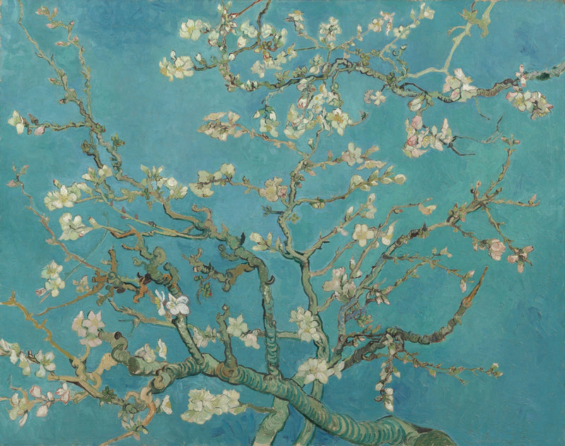 Çiçek Açmış Badem Ağacı - Vincent van Gogh