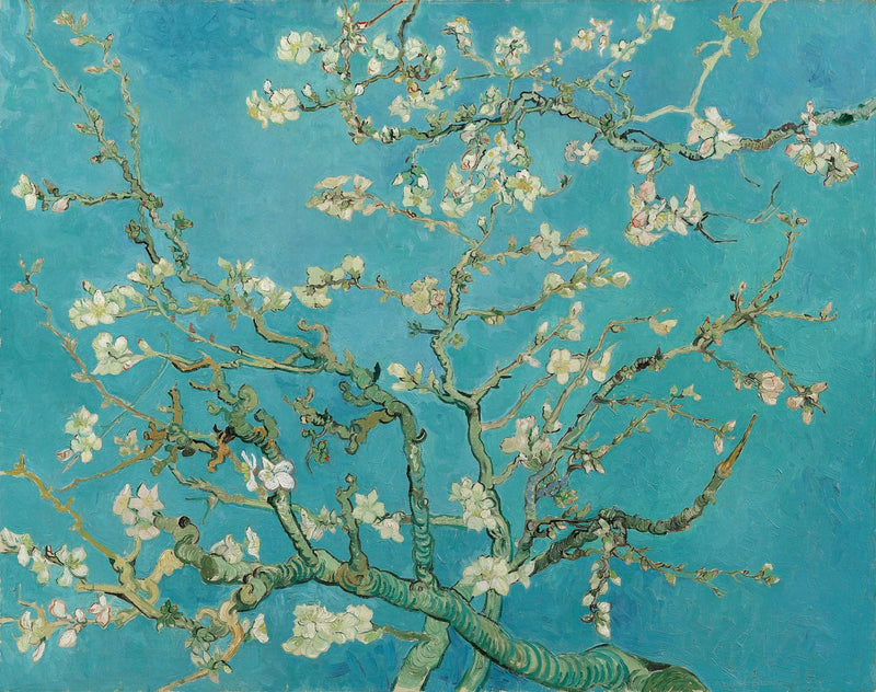 Çiçek Açmış Badem Ağacı - Vincent van Gogh