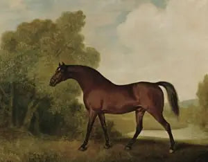 Ambrosio, Thomas Haworth'a ait bir erkek at, George Stubbs