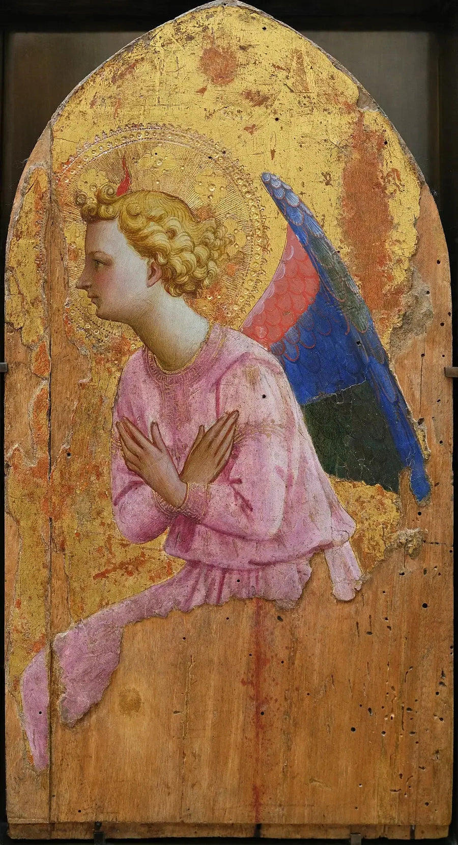 Adorasyonda Melek, sola dönük - Fra Angelico