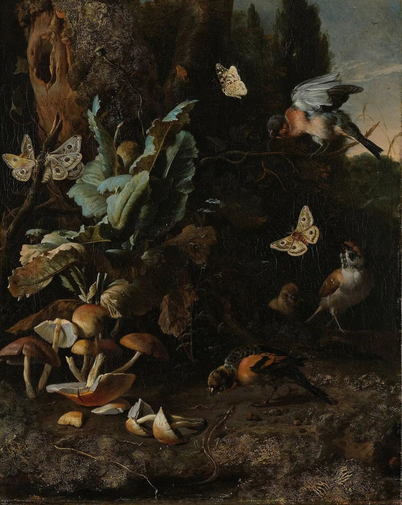 Hayvanlar ve Bitkiler - Melchior de Hondecoeter