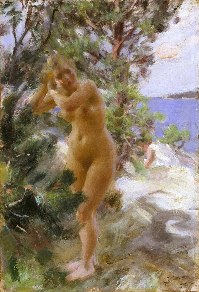 Banyodan Sonra - Anders Zorn
