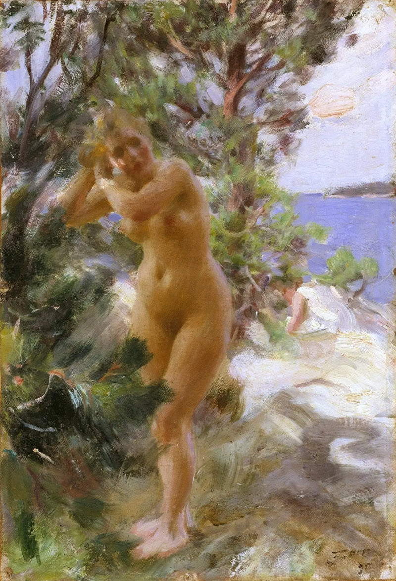 Banyodan Sonra - Anders Zorn