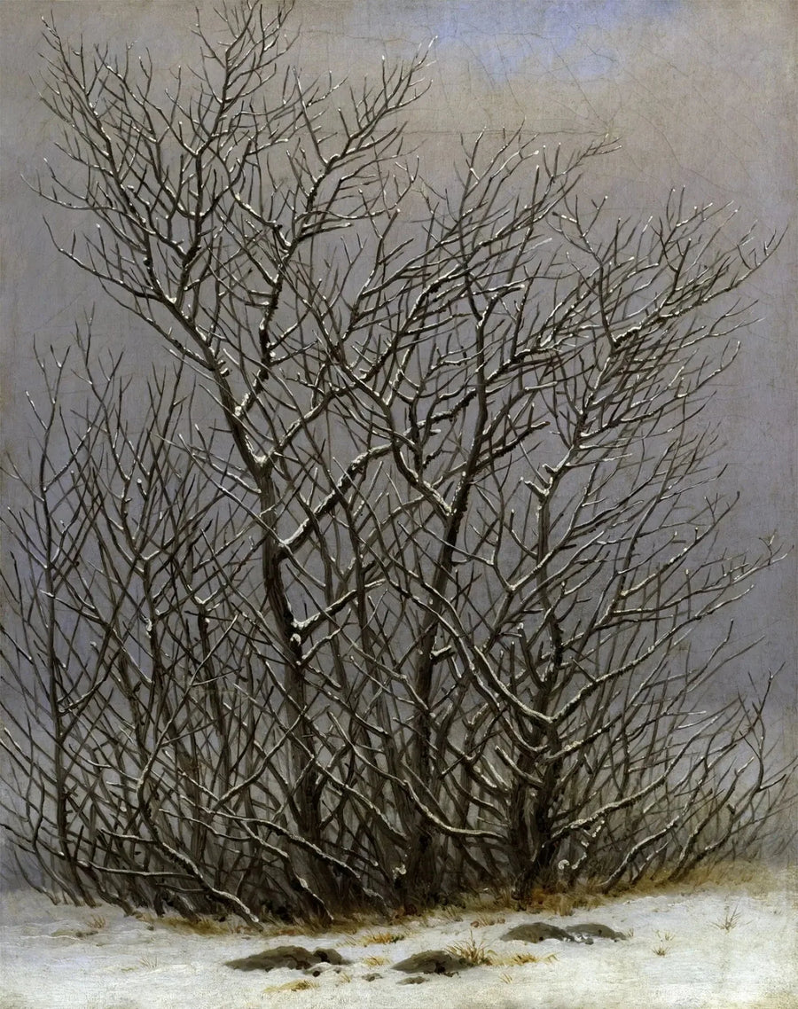 Kar Altındaki Ağaçlar ve Çalılar - Caspar David Friedrich