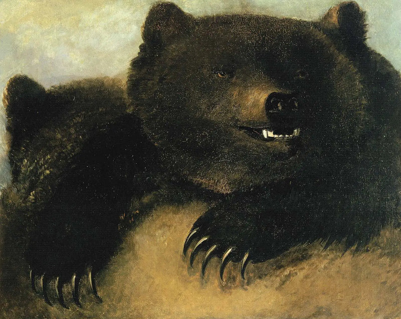 Grizzly Ayı Silahları ve Fizyonomisi - George Catlin