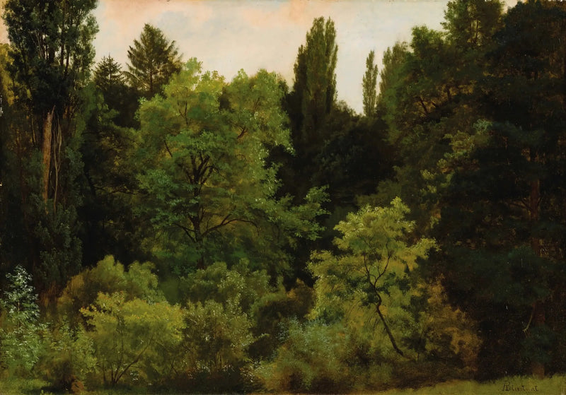 Roches Dağları'nın Kalbinde - Albert Bierstadt