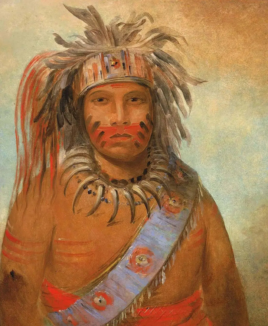 Au-nim-muck-kwa-um, fırtına kuşu - George Catlin