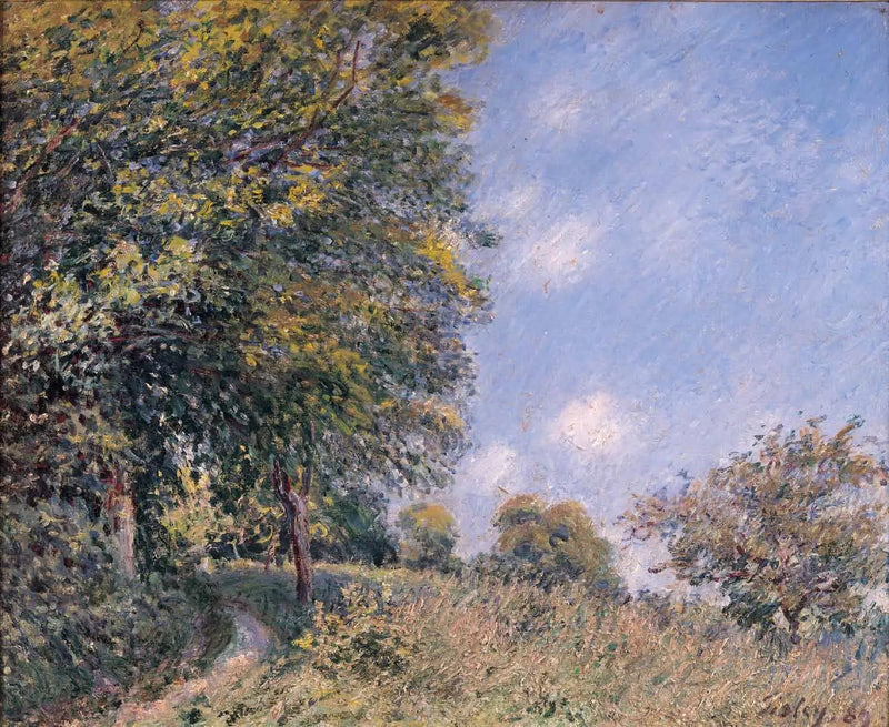 Ormanın Etrafında, Temmuz Sabahı - Alfred Sisley