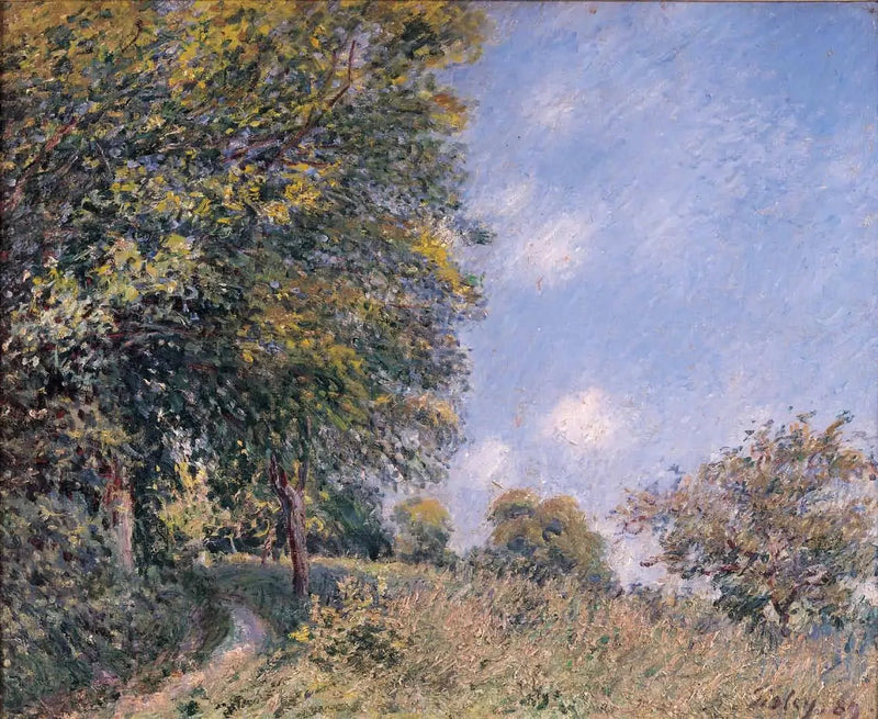 Ormanın Etrafında, Temmuz Sabahı - Alfred Sisley