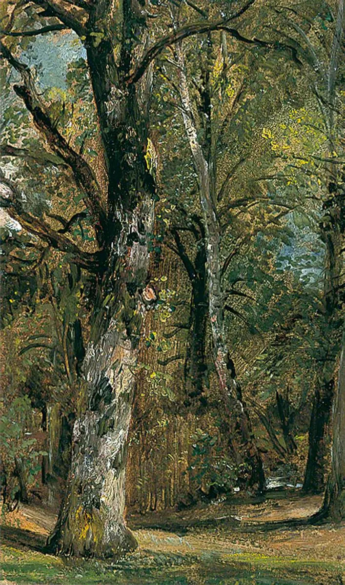 Avenue des Arbres - John Constable - Alpha Reproduction