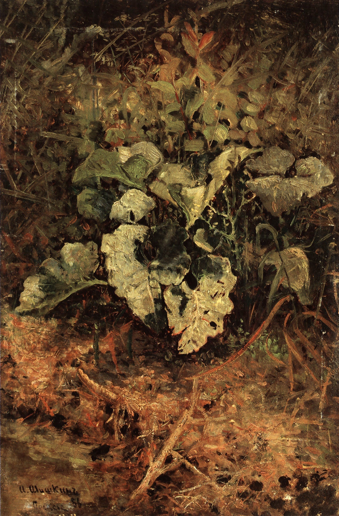 Bardane - Ivan Chichkine