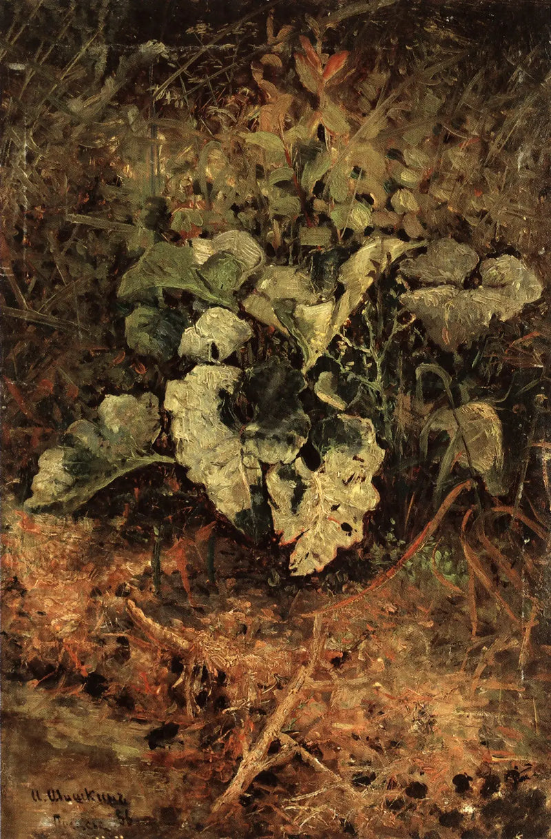 Bardane - Ivan Chichkine