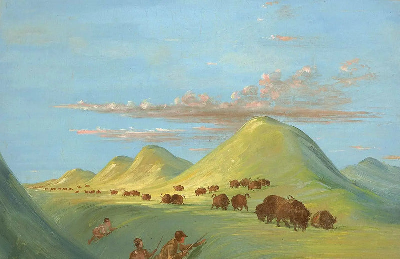 Batiste, Bogard ve benim Missouri'deki Buffalo'ya yaklaşırken - George Catlin