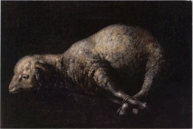 Bağlı Ayaklı Koç - Francisco de Zurbarán