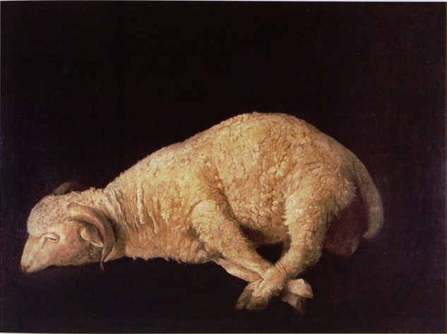 Bağlı Ayaklı Koç - Francisco de Zurbarán