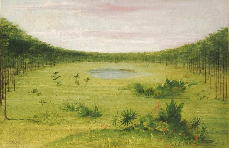 Florida Pinarlardaki Belle Savane - George Catlin