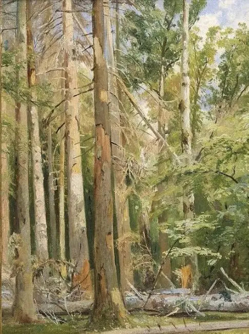 Belovezh - Ivan Chichkine