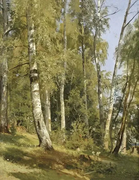 Huş Ormanı - Ivan Chichkine
